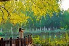 杏彩娱乐实力-杏彩娱乐实力，打造卓越娱乐体验，引领行业潮流