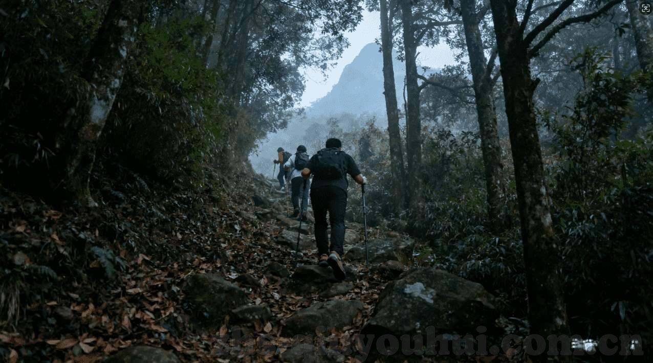 星空星空体育-星空体育，梦想照耀，追求无限