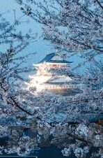 足球比分智利-智利足球,从比分波动中窥探南美劲旅的竞技风云